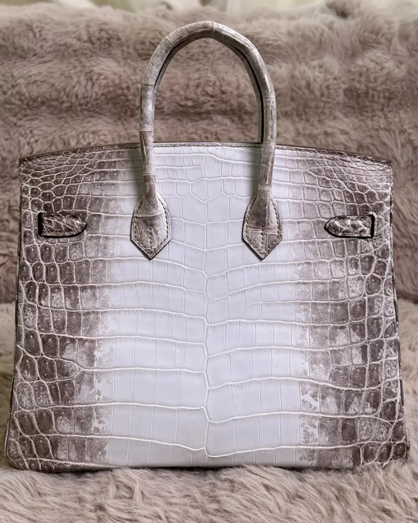Grey Ivory Gradient Scale-Texture Bag — rear view