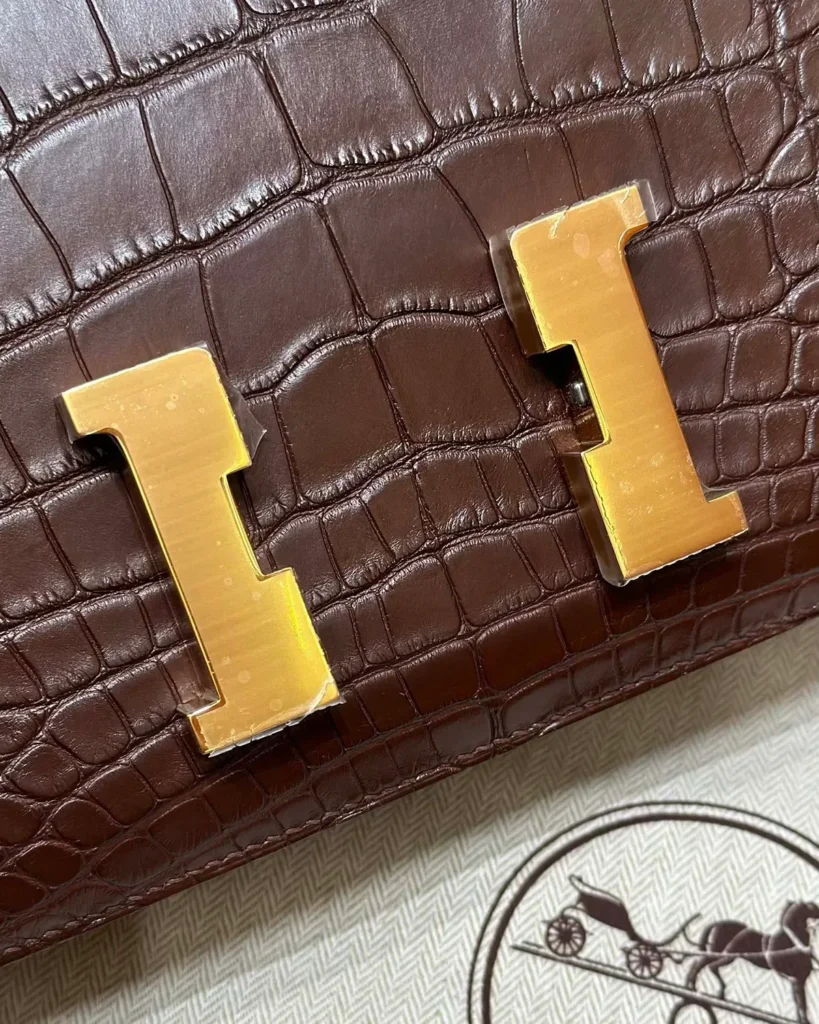 Close-up of gold-tone H-shaped clasp and brown scale-texture exterior