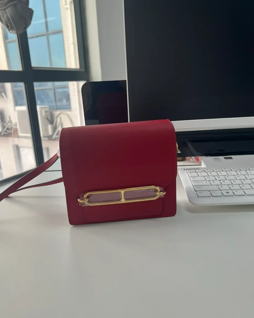 Red roulis-inspired mini bag, front angle view