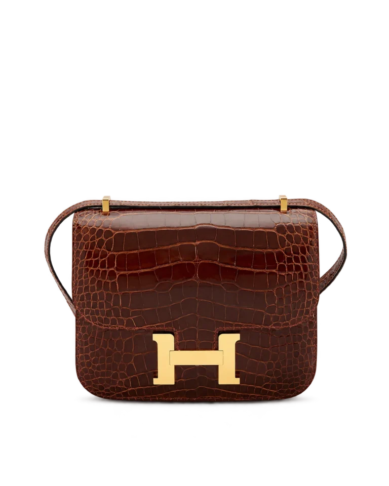 Front view of brown scale-texture Constance-inspired mini 18 replica bag with a gold-tone H-shaped clasp