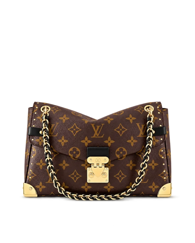 Brown Monogram Chain Flap Bag — main view