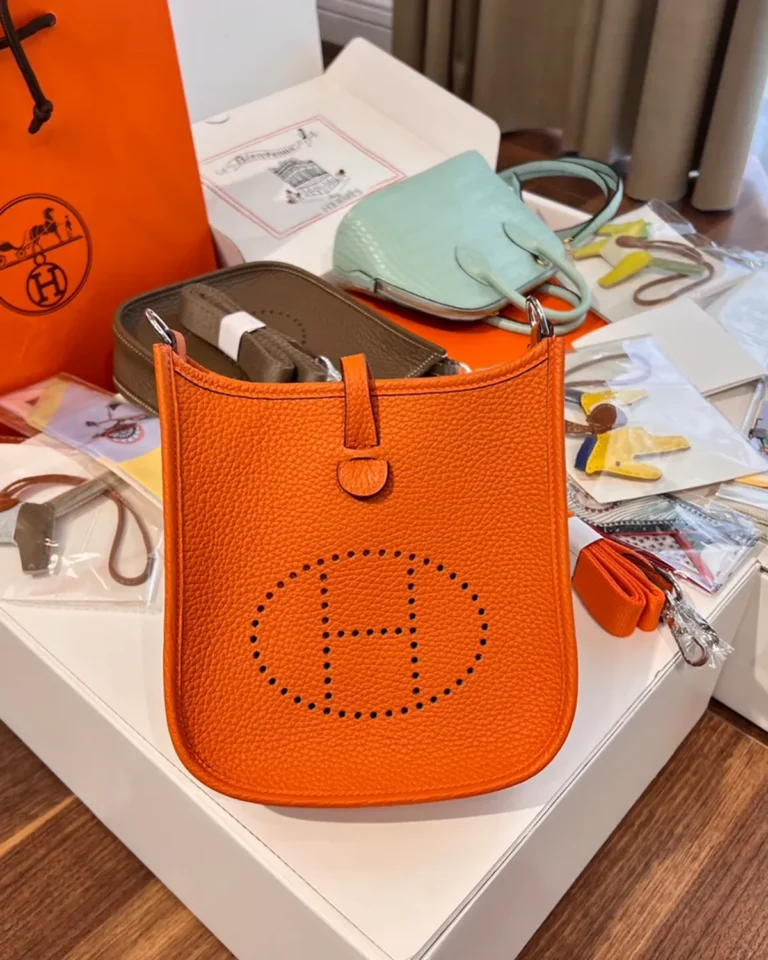 Evelyne-Inspired Mini Orange Crossbody Bag, front display on box