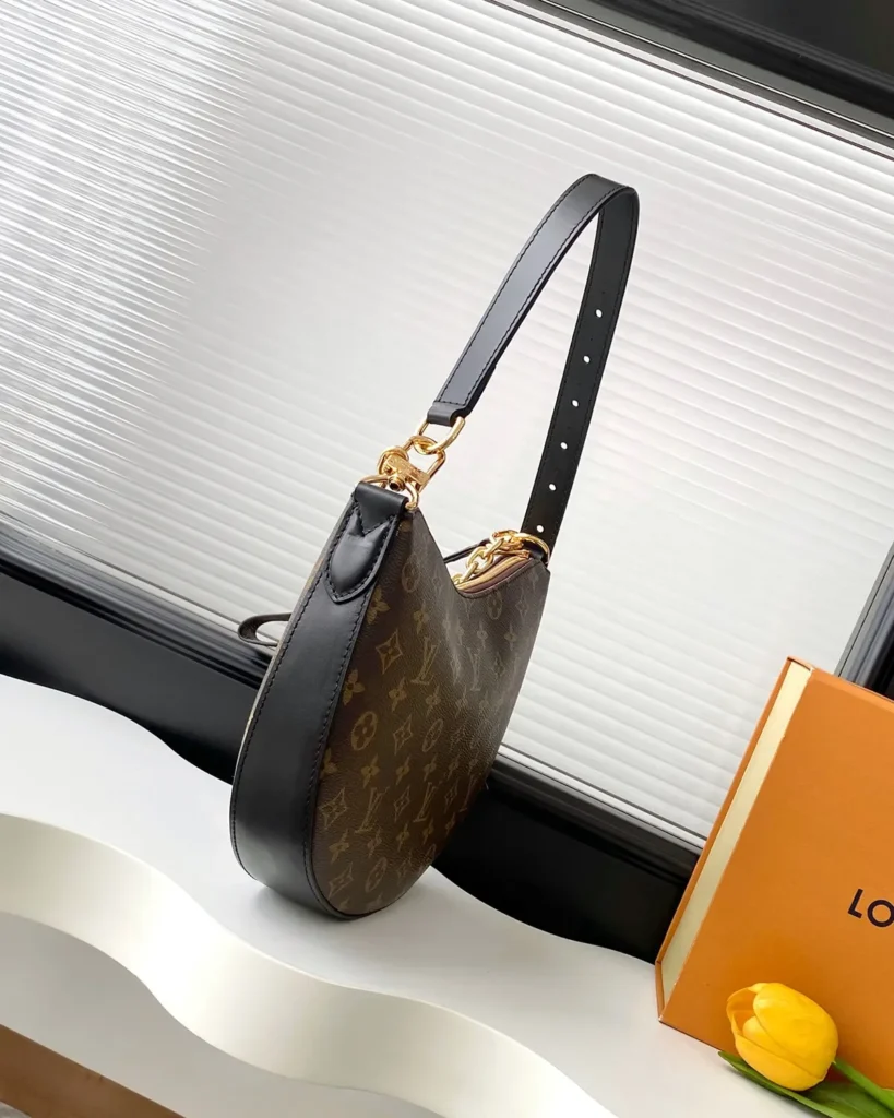 Brown Monogram Crescent Chain Hobo — side view