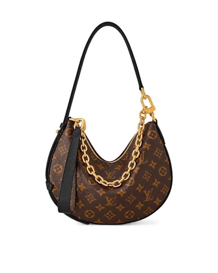 Brown Monogram Crescent Chain Hobo — upright front view
