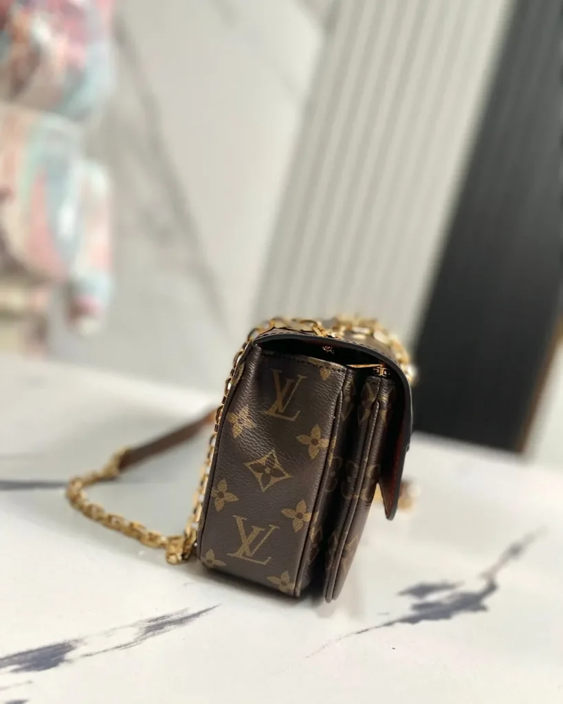 Brown Monogram Caramel Chain Flap Bag — side view