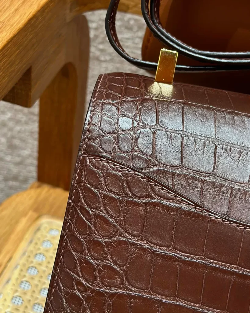 Close-up of brown scale-patterned rear panel and gold-tone strap fitting