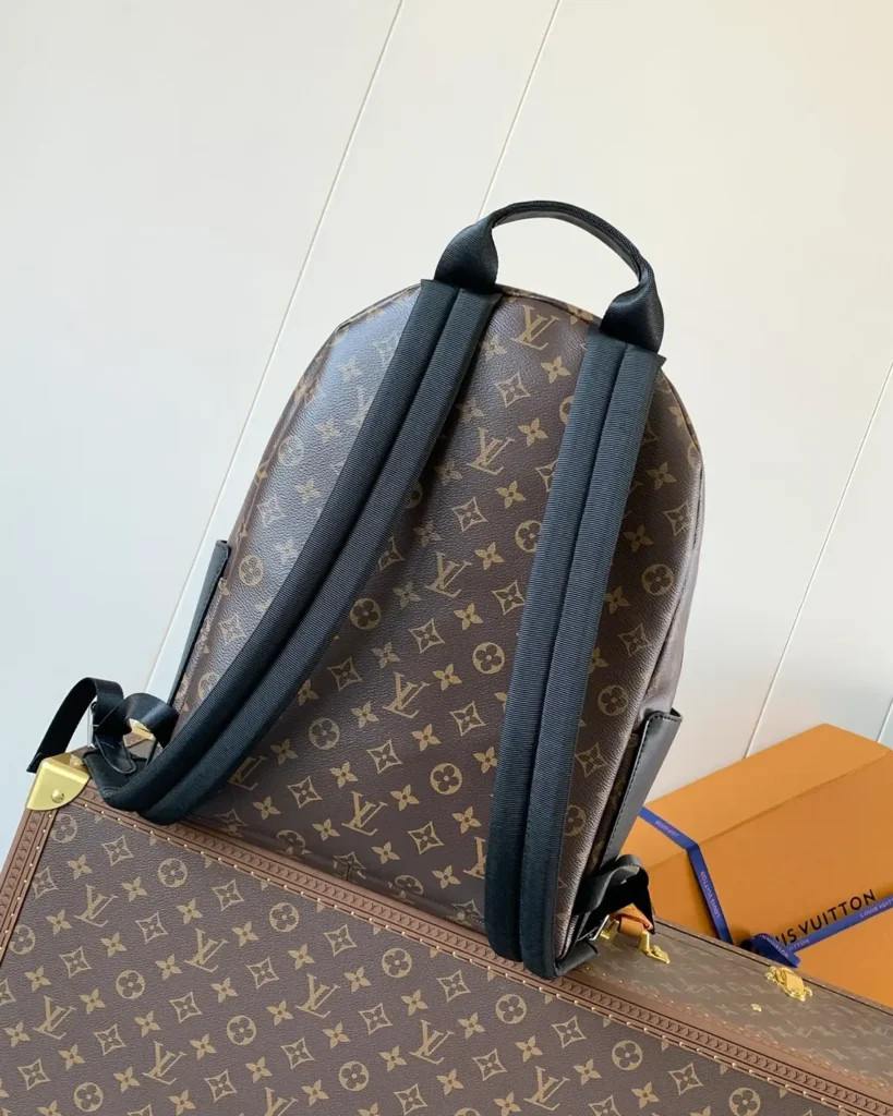 Brown Monogram Discovery-Inspired Backpack — rear view