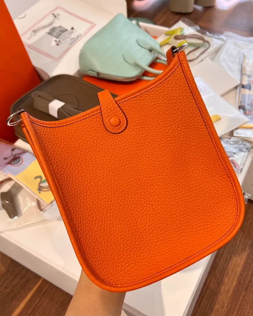 Evelyne-Inspired Mini Orange Crossbody Bag, plain rear panel